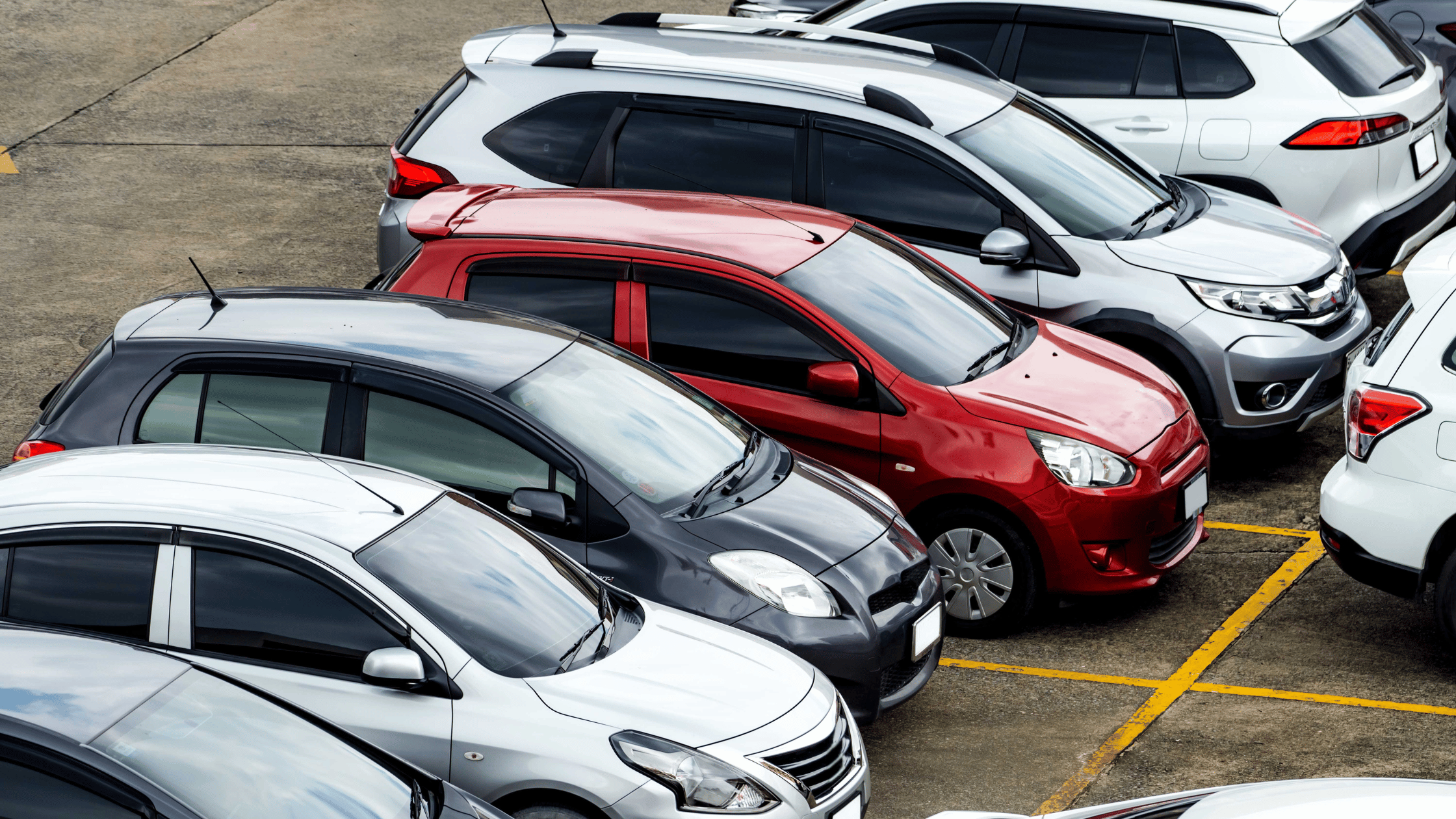 Car Rental